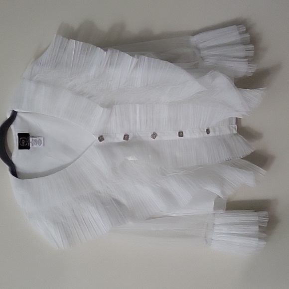 M/2 Tops - M/2 Ruffled Feathered Sheer Blouse